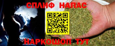 дживик Котовск