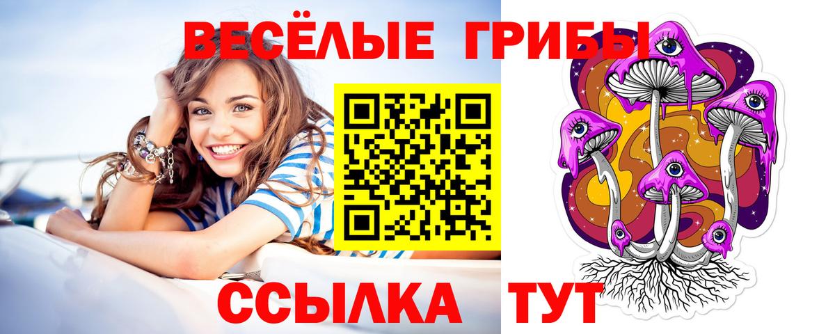 Мирный  Псилоцибиновые грибы прущие грибы  где найти   Вход с VPN 
